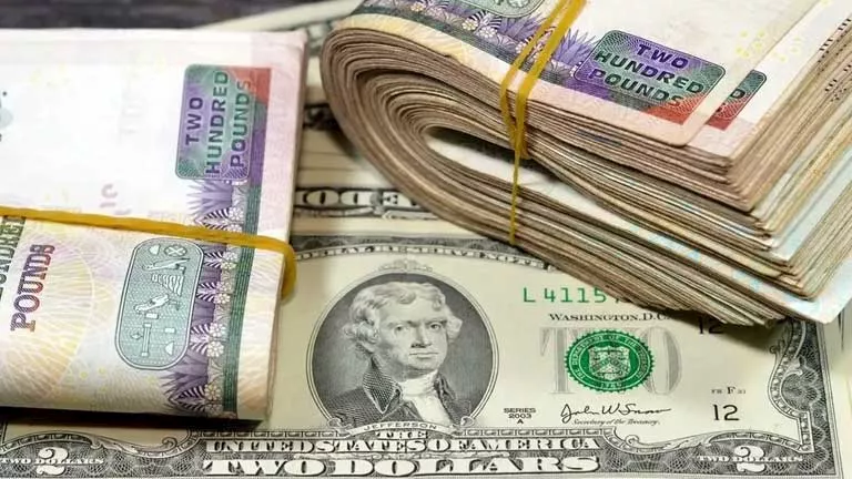 فخ مالي.. لماذ عليك الحذر من عبارة “اشتر الآن وادفع لاحقا”؟