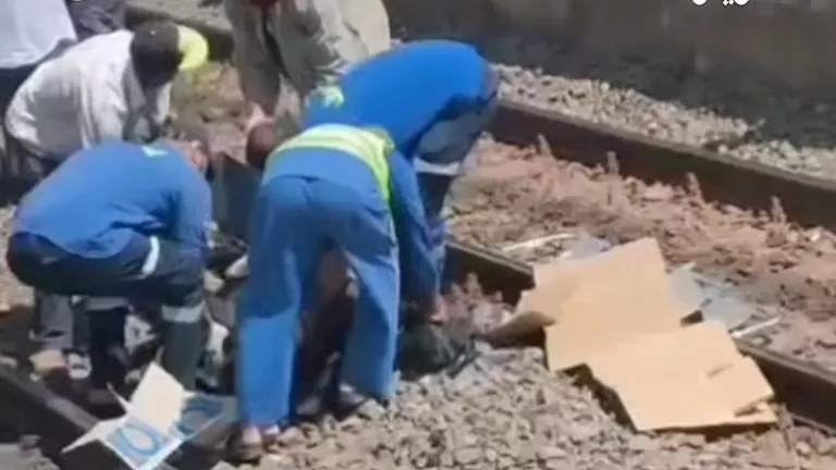 مصرع طفلين شقيقين دهسهما قطار بالبحيرة