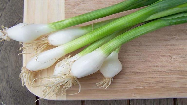 5 فوائد البصل الأخضر عند تناوله على الإفطار