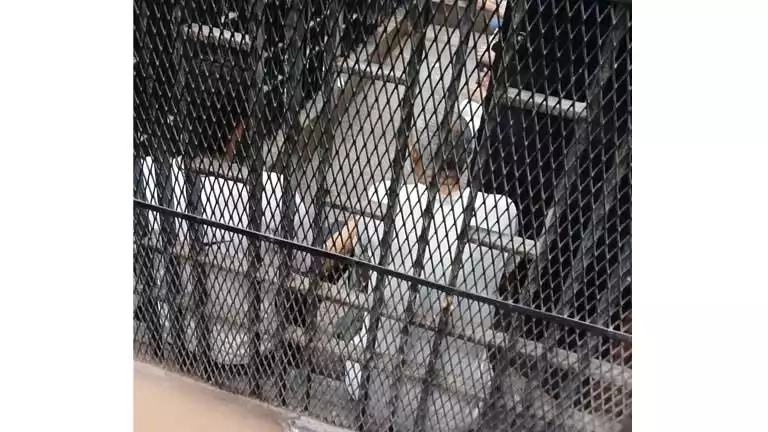 14 أكتوبر.. الحكم على 6 متهمين في قضية “خلية الحدائق”