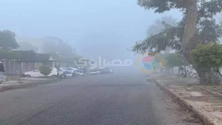 تحذير من الشبورة وظهور السحب.. الأرصاد تعلن أبرز الظواهر الجوية المسيط