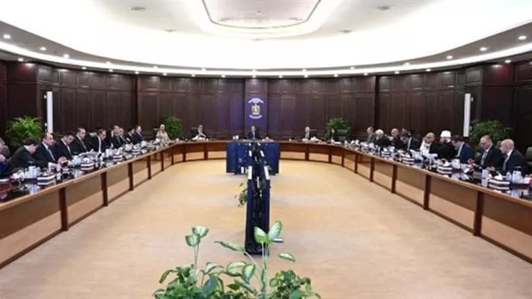 قرار حكومي جديد بشأن هيئة الشراء الموحد والإمداد والتموين الطبي