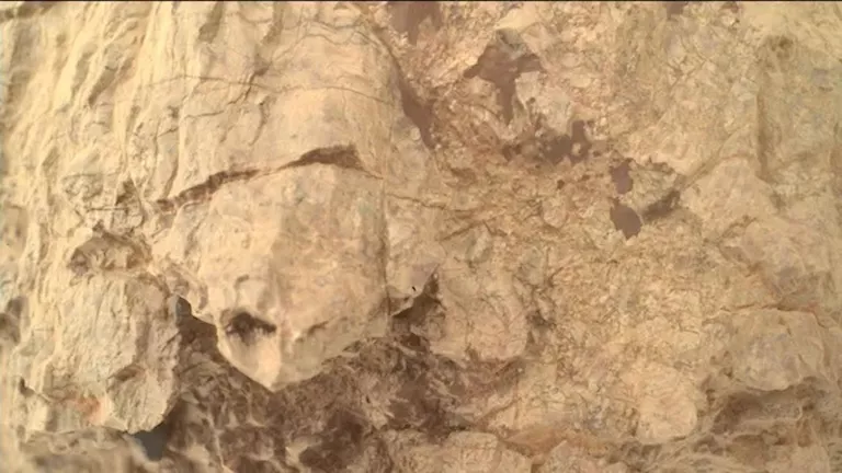 مركبة ناسا تعثر على “سلحفاة” تختبئ بين صخور كوكب المريخ (صور)