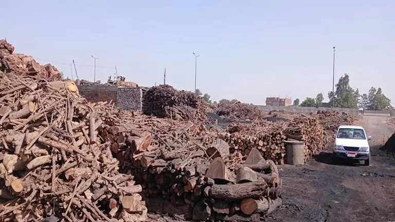 لمواجهة السحابة السوداء.. حملة مفاجئة على 150 مكمورة و44 فاخورة بالشر