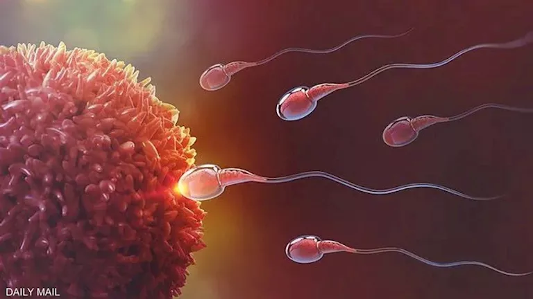 دراسة جديدة تكشف مفاجأة عن دواء شهير قد يعالج عقم الرجال