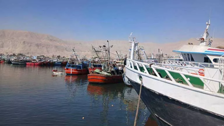 بعد غلق دام 4 شهور.. انطلاق أولى رحلات صيد الشانشولا بجنوب سيناء