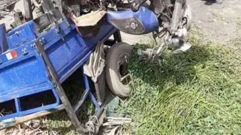 بالأسماء.. 12 مصابًا في انقلاب تروسيكل بالبحيرة