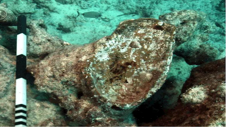 كشف أثري جديد: ميناء قديم مغمور بالمياه مرتبط بمعبد تابوزيريس ماجنا با