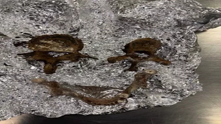 جمجمة وفقرات بشرية في حقيبة سفر أحد الركاب.. ما القصة ؟