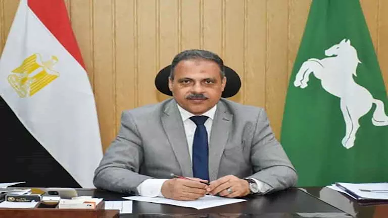 حملات نظافة وتجميل.. الشرقية تتزين للاحتفال بعيدها القومي