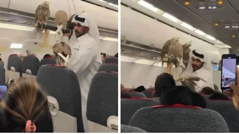 مسافر يثير الجدل باصطحاب 5 صقور على متن طائرة ركاب (فيديو)