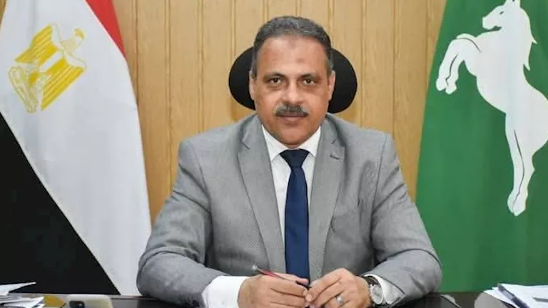 الشرقية تستعد لافتتاح 53 مشروعًا تنمويًا بينها 5 للصحة (صور)