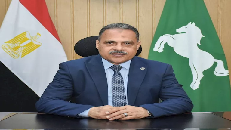 محافظ الشرقية ينيب السكرتير العام للمشاركة في الحوار المجتمعي حول آثار