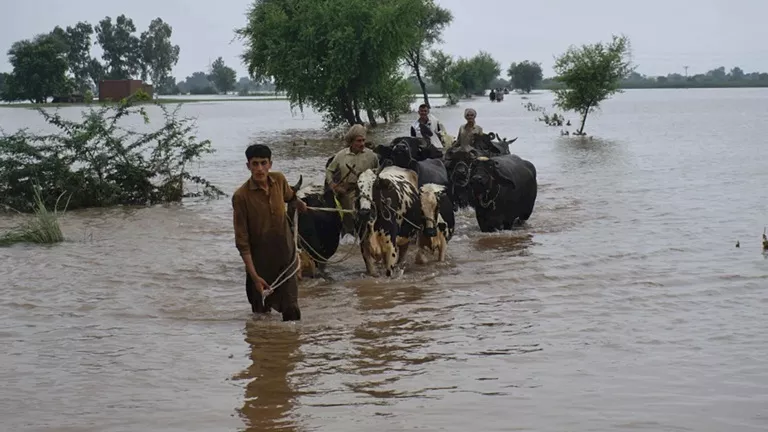 باكستان تجلي 25 ألف شخص من شرق البلاد في ظل مخاوف من ارتفاع منسوب الأن