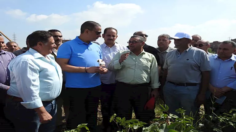 بالصور- محافظ الفيوم يفتتح موسم جني القطن من حقول قرية رحمي