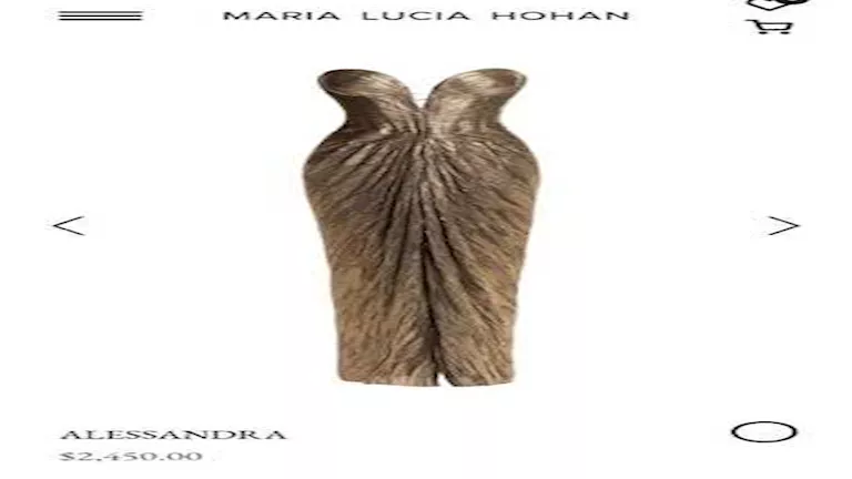 c4edc474-81ed-4653-9c93-c6c53615d172_11zon