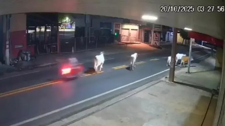 وفاة لاعب كرة قدم برازيلي بعد اصطدامه ببقرة.. ما القصة؟