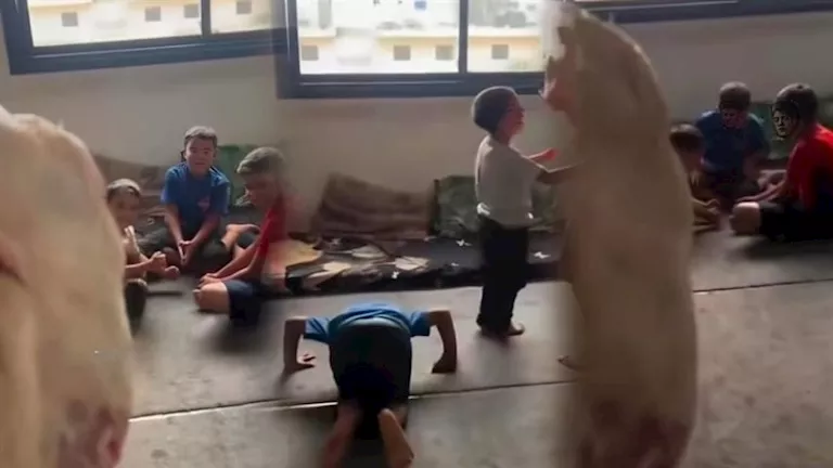 لأول مرة منذ عامين.. أطفال فلسطينيين يتناولون الدجاج في مشهد مؤثر