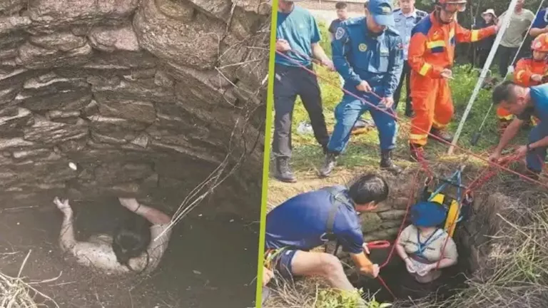 54 ساعة في الجحيم.. امرأة تنجو من بئر مظلمة تعج بالثعابين “صور”