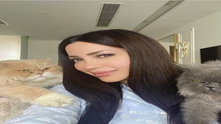 بالأخضر.. نسرين طافش تتألق في أحدث إطلالتها