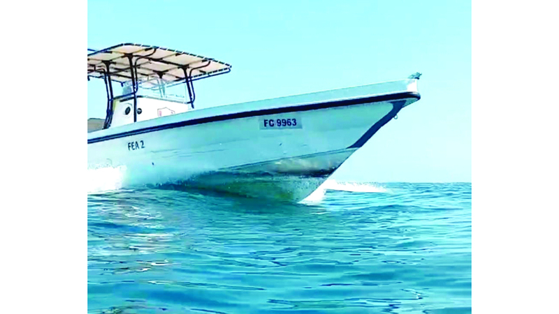 ضبط 6 قوارب صيد مخالفة بمحمية جزيرة الطيور في دبا الفجيرة