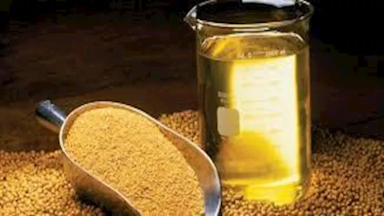 تأثير استخدام زيت الصويا في الطهي على جسم الإنسان