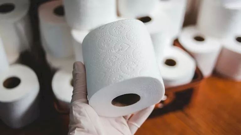 “بورق التواليت”.. لن تتوقع ما فعله رجل في متحف تايواني