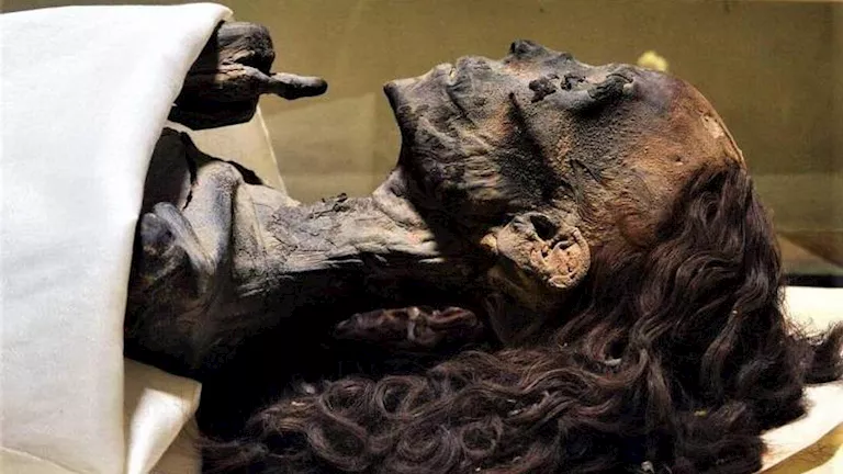 “الجمال الفرعونى”.. أسرار العناية بشعر ملكات مصر القديمة