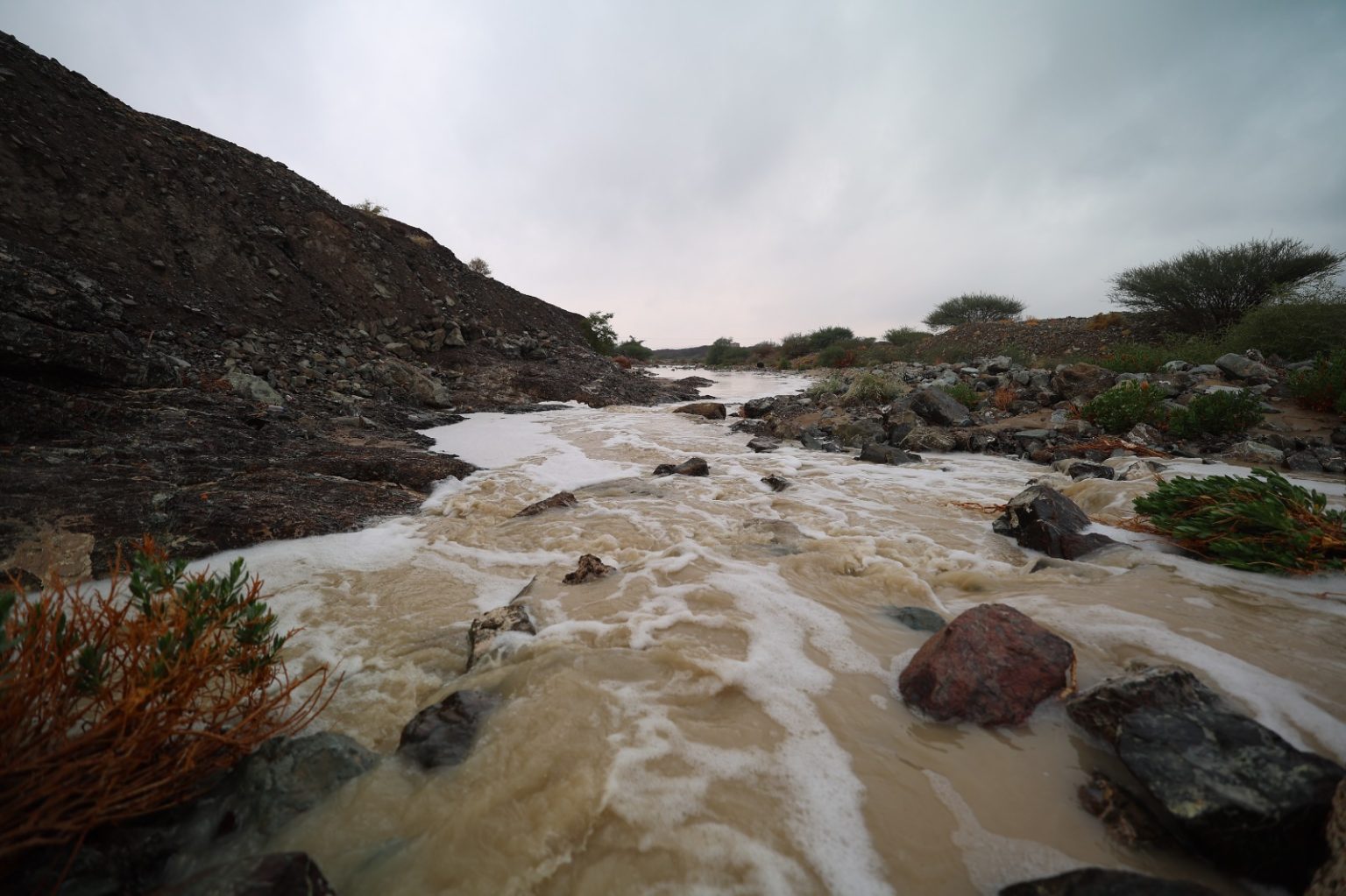 أعلى نسب الأمطار في الدولة حتى صباح اليوم