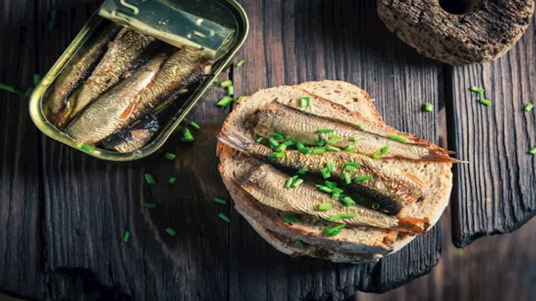 ماذا يحدث لجسمك عند تناول السردين؟.. فوائد مذهلة