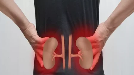 دراسة تكشف سر الوقاية من مرض الكلى المزمن