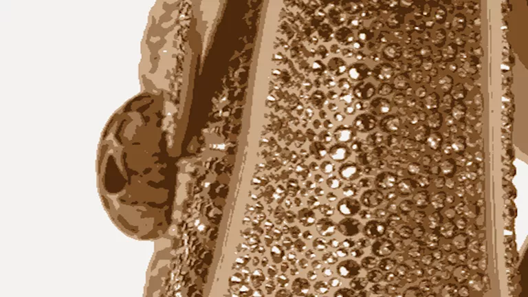 سسسسسسسسسسسس (1)