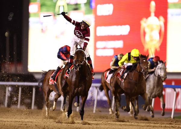 «ماجنتيود» بطل النسخة 30 لكأس دبي العالمي للخيول